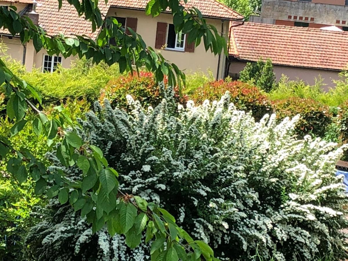 A O Soa B&B Savignone Екстер'єр фото